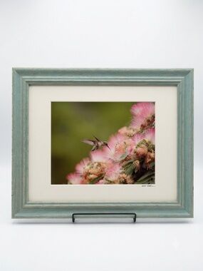 Photograph Matted & Framed  11x14 Matted Nature, signed on Mat Hummingbird